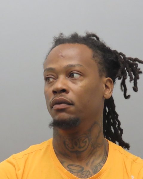 Mugshot of ROBERT LEE MAYS