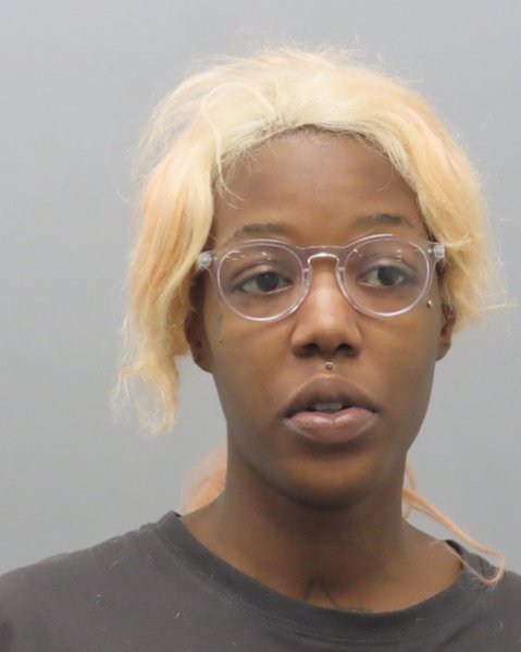 Mugshot of MANELLIA MITCHELL