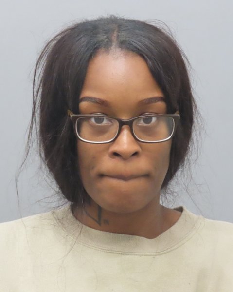 Mugshot of TERRA MERRIWEATHER