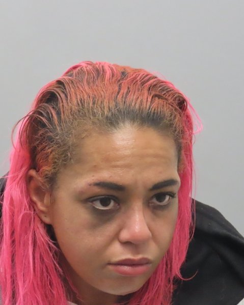 Mugshot of NIKITA ELIZABETH CARLTON