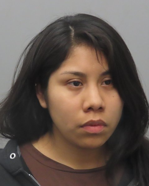 Mugshot of IRAIS MARTINEZ SANTOS