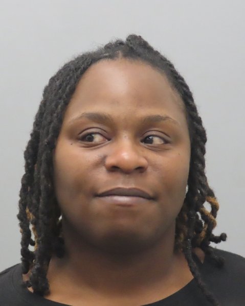 Mugshot of YERICA V NICKELSON
