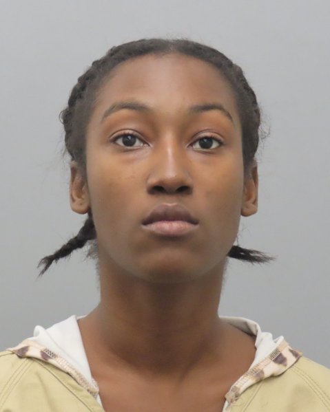 Mugshot of ANDREA RHODES