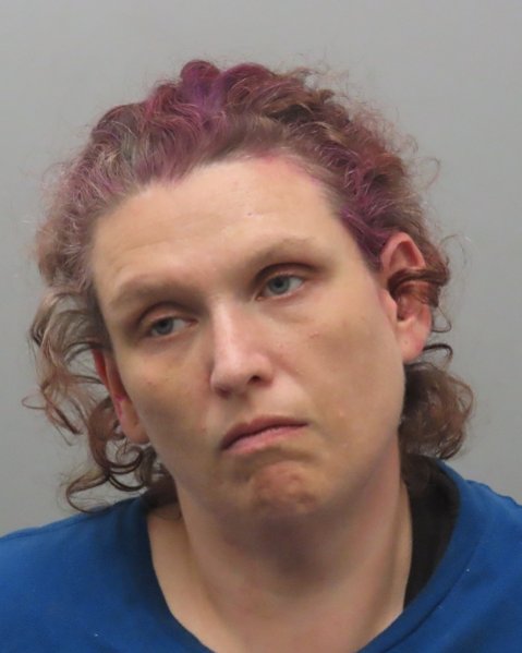 Mugshot of JESSICA RENEE ADCOX