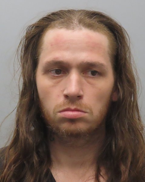 Mugshot of TRAVIS DANIEL WEBER