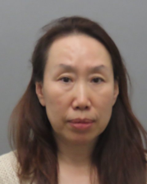 Mugshot of JIE CAO