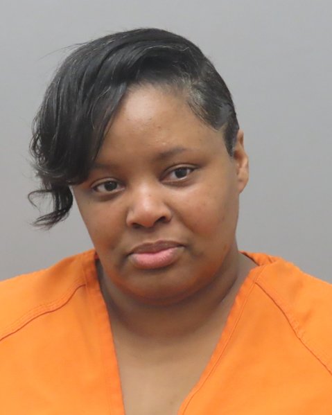 Mugshot of VIANNA RENEE SCOTT