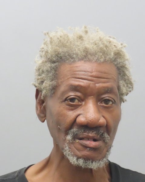 Mugshot of DESI ARNEZ LEE