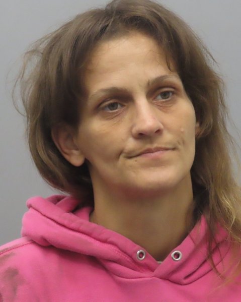 Mugshot of DYAN BAKER