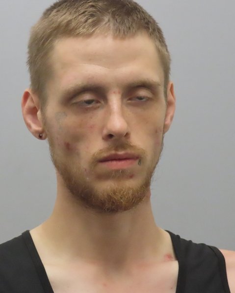 Mugshot of DENNIS MICHAEL VEHLEWALD