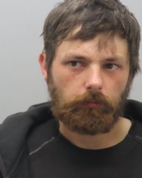 Mugshot of DAVID SCOTT SOUTH