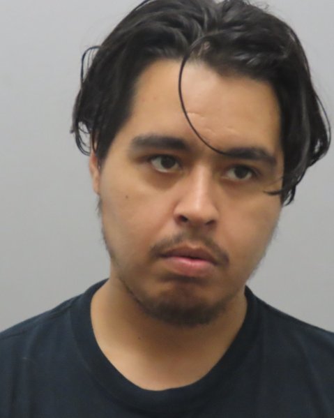 Mugshot of LUIS A MURGIA