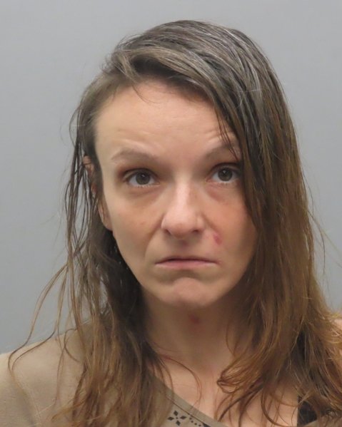 Mugshot of TARA RACHELLE HALBERT