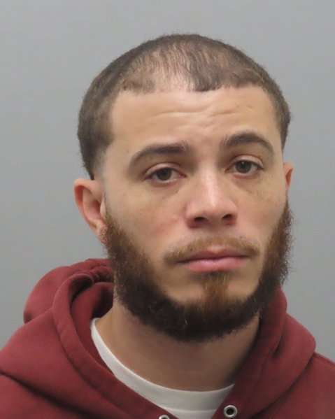 Mugshot of DYLAN BLAKE LOWDER