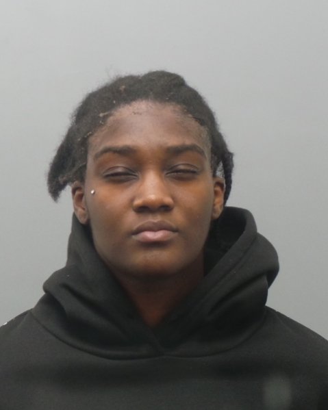 Mugshot of TIERRA MISHELL WILLIAMS