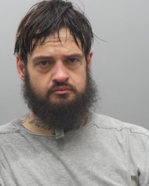 Mugshot of ROBERT ROBOVIC