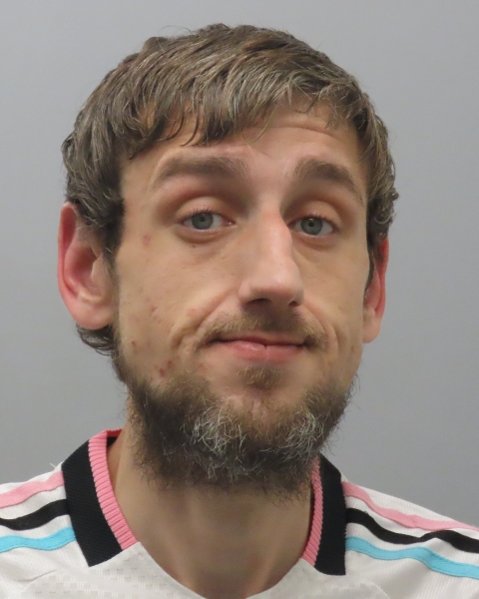 Mugshot of MELDIN MUJANIC