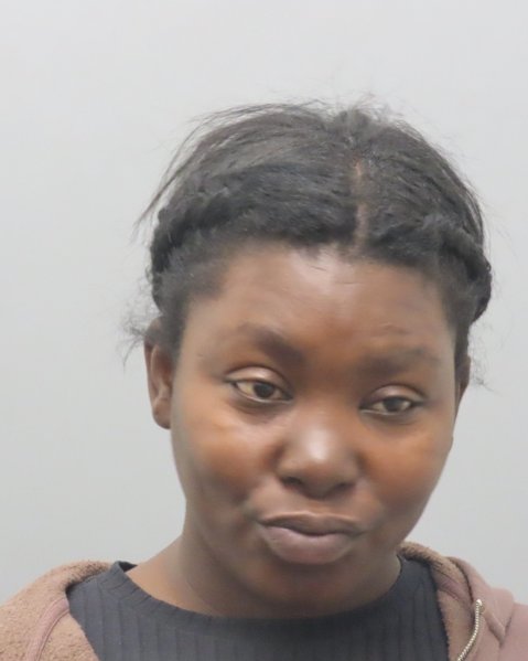 Mugshot of STARNETTA JAMELL WIGGLEY
