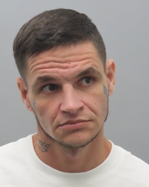 Mugshot of LEWIS ALLEN STAINS