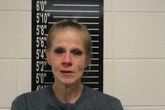 Mugshot of Amy Dawn Wells