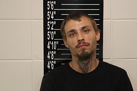 Mugshot of Tonee Lee Bryan