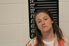 Mugshot of Crystal Dawn Wright