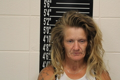 Mugshot of Jennifer Renae James