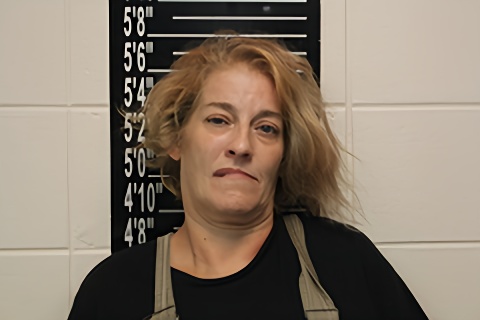 Mugshot of Lisa Elizabeth Ritchey