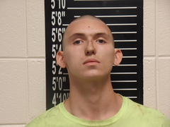 Mugshot of David Lee Turner