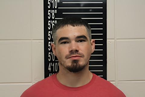 Mugshot of Tanner David James Blackston