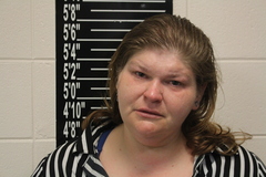 Mugshot of Jennifer Lynn Wells