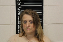 Mugshot of Trisha Sue Hensley