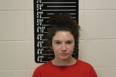 Mugshot of Danielle Renee Hooper