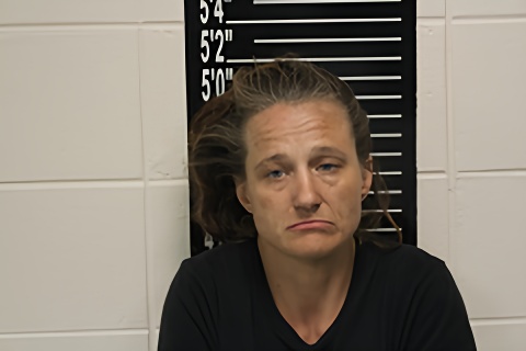 Mugshot of Stephanie Renee Stall