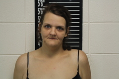 Mugshot of Caitlyn Anne Landl