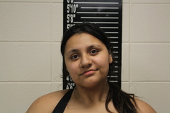 Mugshot of Brianna Nicole Wood
