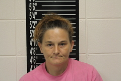 Mugshot of Billy Jo Lander