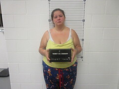 Mugshot of ALLISON K PULVER