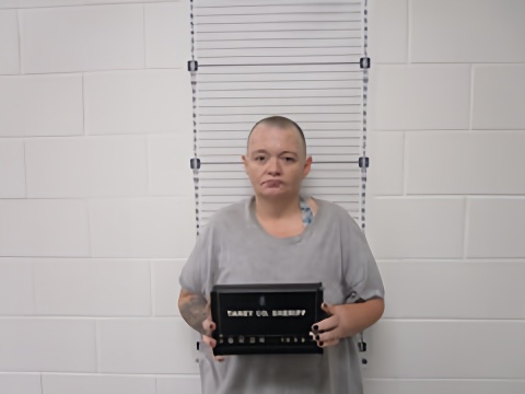 Mugshot of ERIN G BELLAH
