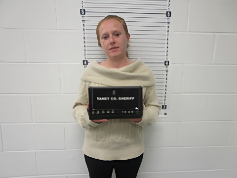 Mugshot of HEATHER A DIEHL