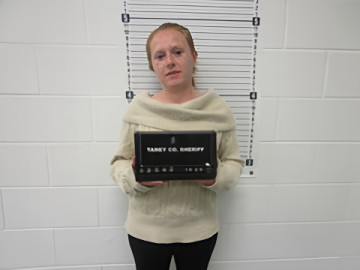 Mugshot of HEATHER A DIEHL