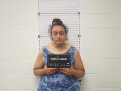 Mugshot of KADEE C JARAMILLO