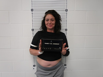 Mugshot of JILLAYNA K WAKE