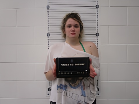 Mugshot of GRACEY L GRAY
