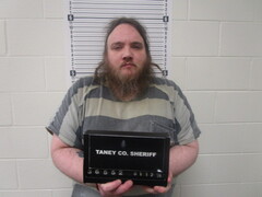 Mugshot of DAVID J VINER
