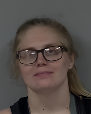 Mugshot of Joel David Burdick