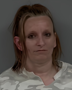 Mugshot of Dawn Marie Kostek
