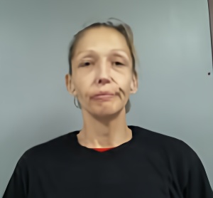 Mugshot of Charise Nicole Hamlin