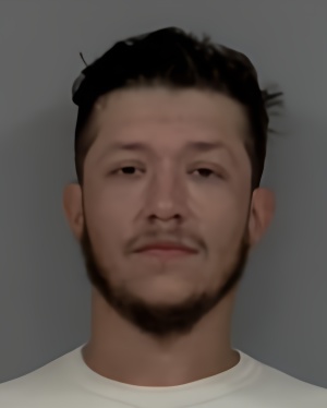 Mugshot of Brandon Michael Webeck