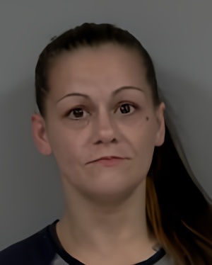Mugshot of Rachel Elizabeth Brady Schaeffel